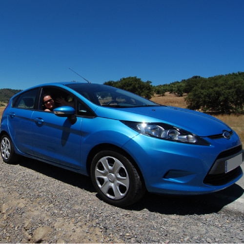 Rental Cars